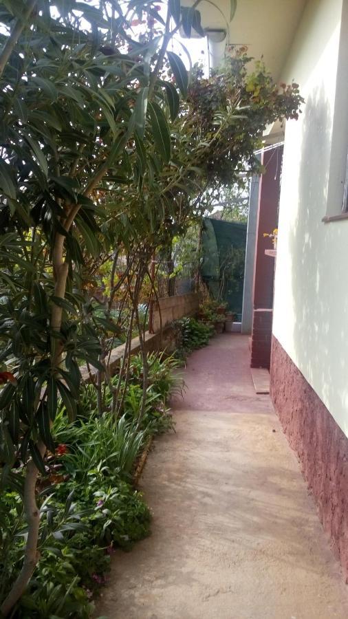 Pero Apartman Villa Sukosan Exterior photo